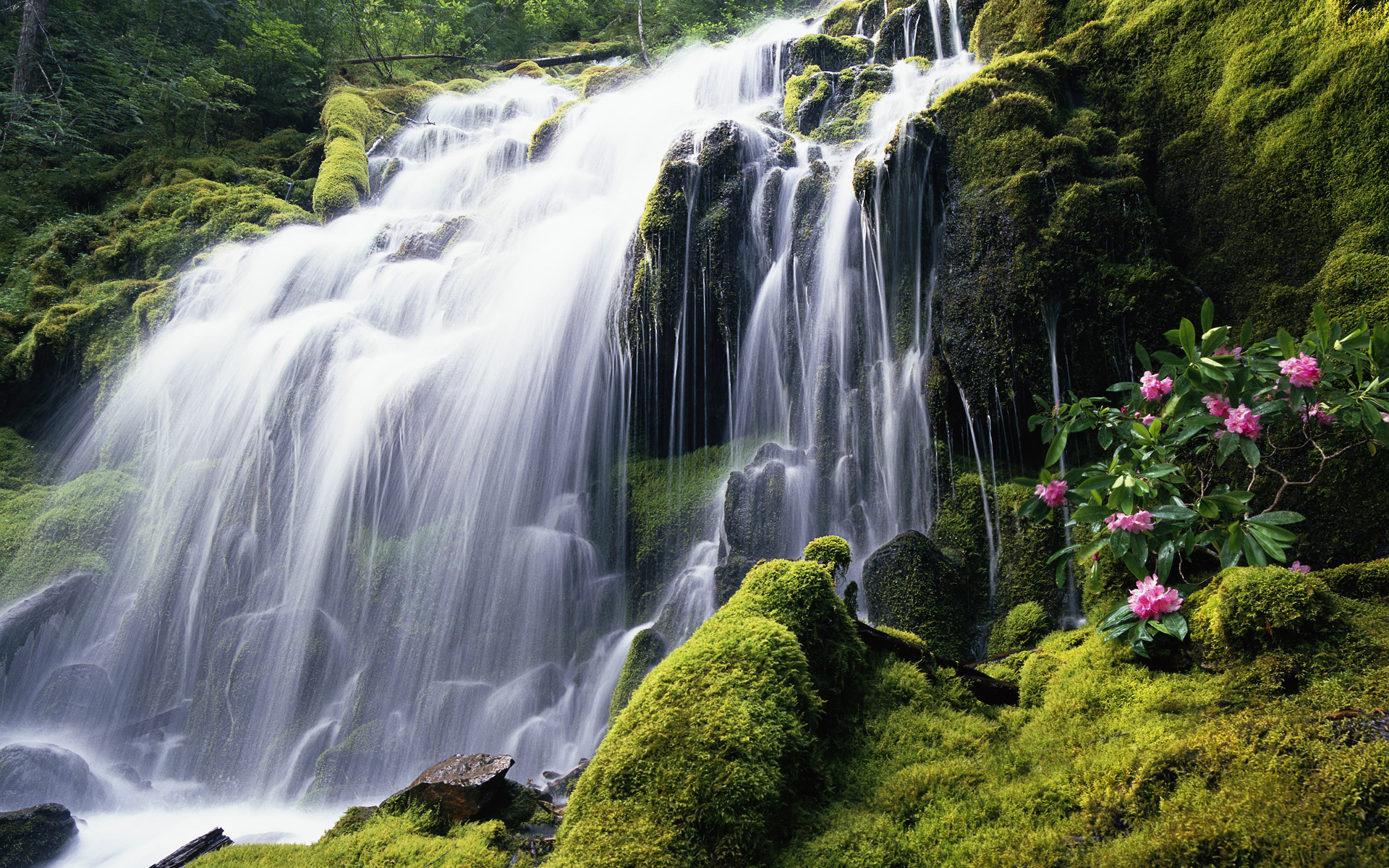Cascata